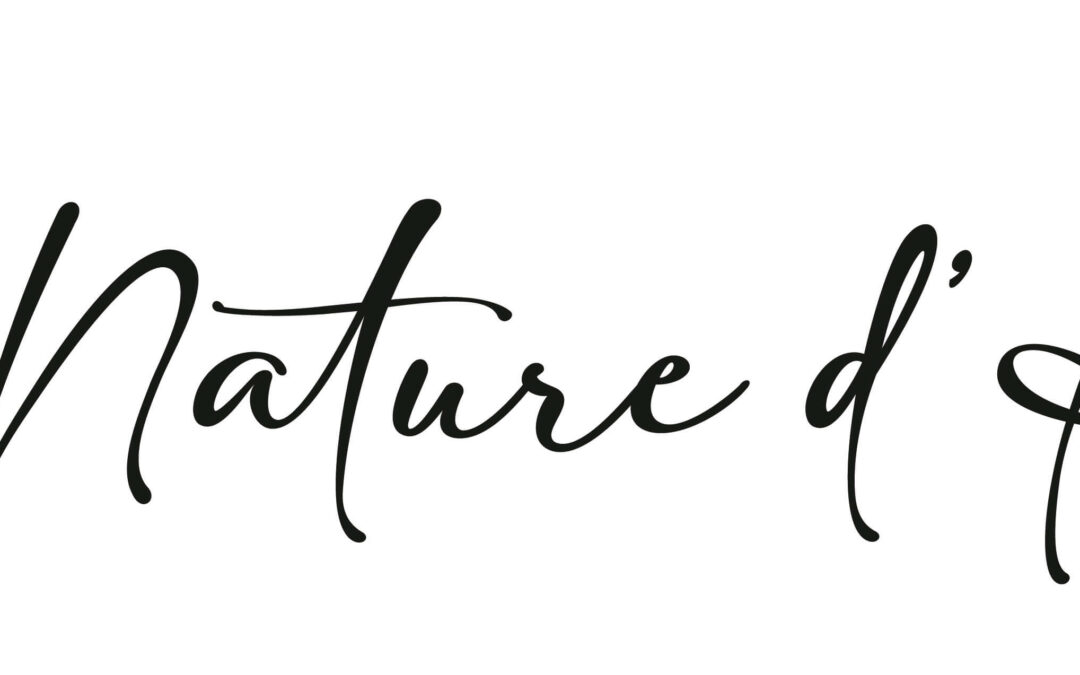 Logo – Nature d’Ailes